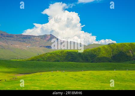 Vista delle piume di fumo che escono dal Monte Nakadake da Aso Kusasenri Foto Stock