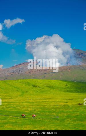 Vista delle piume di fumo che escono dal Monte Nakadake da Aso Kusasenri Foto Stock