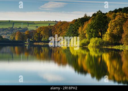 Paesaggio rurale panoramico (alberi boscosi, riflesso di fogliame colorato e foglie su ancora calmo lago illuminato dal sole, cielo blu) - Swinsty Reservoir, Inghilterra UK. Foto Stock