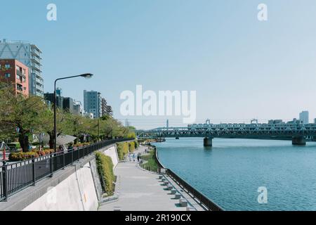 Asakusa il parco Sumida Cherry Blossom Festival. In primavera, Fiume Sumida è circondato da fiori di ciliegio. Foto Stock