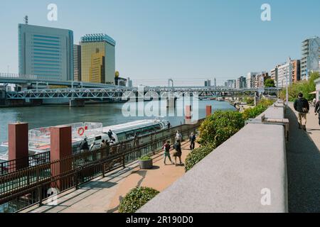 Asakusa il parco Sumida Cherry Blossom Festival. In primavera, Fiume Sumida è circondato da fiori di ciliegio. Foto Stock