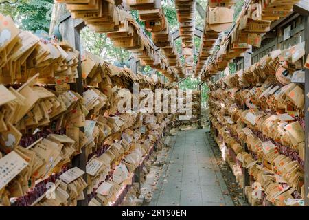 Santuario di Hikawa nella città di Kawagoe, Giappone Foto Stock