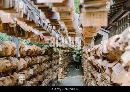 Santuario di Hikawa nella città di Kawagoe, Giappone Foto Stock