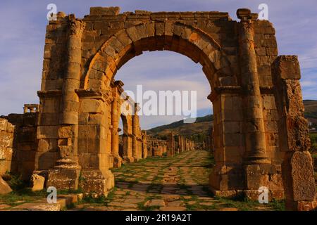 Rovine romane di Djemila, Algeria. Cardo maximus arco di sera. Foto Stock