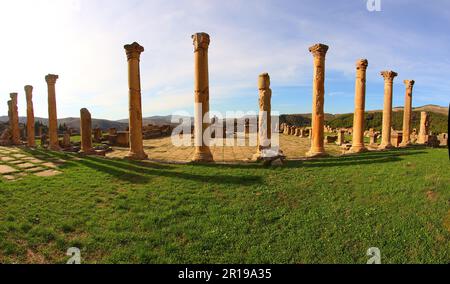 Rovine romane di Djemila, Algeria. Colonne. Foto Stock