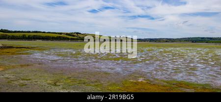 Vaste pianure di marea nel sud dell'Irlanda in una giornata estiva. Paesaggio irlandese. Una palude che alluvione e scolo dal movimento maremontale dell'adjacen Foto Stock