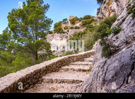 Ripido sentiero fino al casello delle fortificazioni del Castell d'Alaro sulla cima del Puig d'Alaro nei Monti Tramuntana di Maiorca Spagna Foto Stock