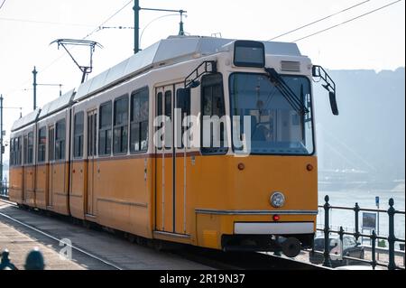 Distintivo treno e carrozza per pendolari giallo e bianco a Budapest, in Ungheria, sulle rive del Danubio Foto Stock