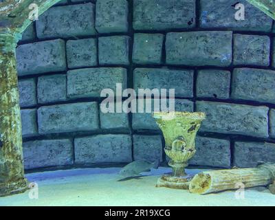 l'antica città affondò sotto l'acqua a causa del relitto. sculture in gesso e colonne, un edificio in mattoni, un calice dorato sott'acqua. lavori architettonici d Foto Stock