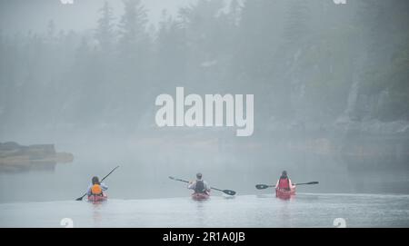 Tre amici in kayak a Lunenburg. Foto Stock