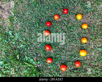 lettera fatta di pomodoro. iscrizione da vegetali. La lettera o è rivestita di pomodori rossi e gialli, succosi e rotondi. Lettera di vitamina, su un backgr Foto Stock