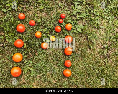 lettera fatta di pomodoro. iscrizione da vegetali. La lettera M è rivestita di pomodori rossi, rosa, gialli, succosi e tondi. Insalata di vitamine, su un grido Foto Stock