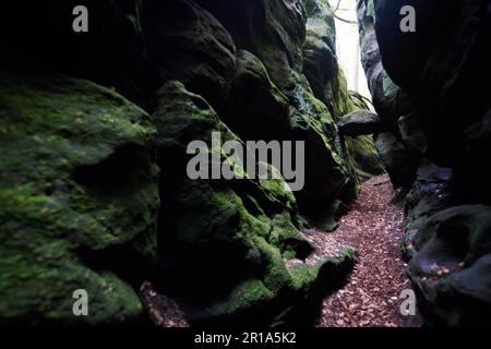 La regione di Mullerthal in Lussemburgo è conosciuta anche come piccola Svizzera ed è un luogo ideale per escursioni a piedi e arrampicate Foto Stock