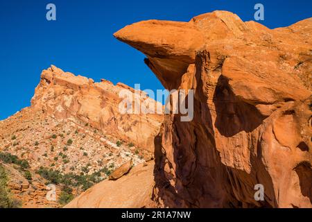 Formazioni di arenaria erose nel Muley Twist Canyon nel Capitol Reef National Park nello Utah. Foto Stock