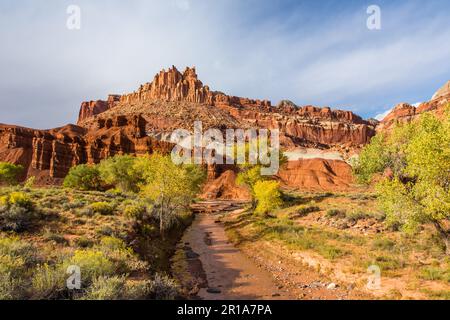Il castello nel Capitol Reef National Park, Utah, con il fiume Fremont e gli alberi di cottonwood in autunno. Foto Stock
