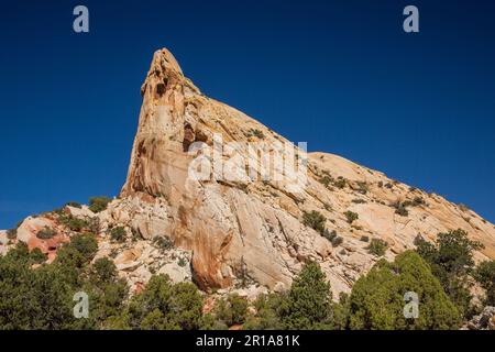 Formazioni di arenaria erose nel Muley Twist Canyon nel Capitol Reef National Park nello Utah. Foto Stock