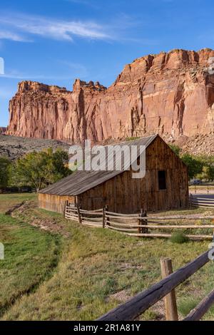 Storico fienile Pendleton nella piccola comunità agricola pioniera di Fruita, ora nel Capitol Reef National Park, Utah. Il fienile ha più di 100 anni. Foto Stock