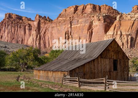 Storico fienile Pendleton nella piccola comunità agricola pioniera di Fruita, ora nel Capitol Reef National Park, Utah. Il fienile ha più di 100 anni. Foto Stock