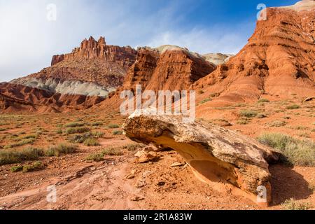 Una formazione di arenaria erosa con il Castello sullo sfondo nel Capitol Reef National Park nello Utah. Foto Stock