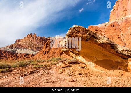 Una formazione di arenaria erosa con il Castello sullo sfondo nel Capitol Reef National Park nello Utah. Foto Stock