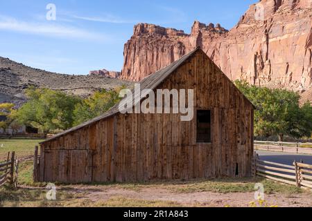 Storico fienile Pendleton nella piccola comunità agricola pioniera di Fruita, ora nel Capitol Reef National Park, Utah. Il fienile ha più di 100 anni. Foto Stock