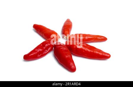 Peperoncino isolato su fondo bianco. percorso di taglio del pepe caldo. Foto Stock