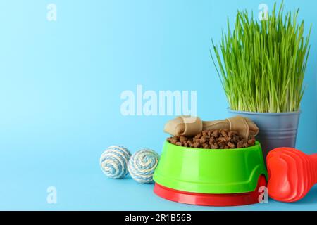 PET giocattoli, ciotole e wheatgrass su sfondo azzurro, spazio per il testo Foto Stock