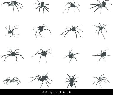 Silhouette Spider, icona vettore Spider. Illustrazione Vettoriale