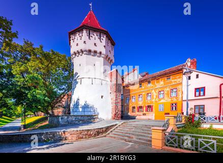 Sibiu, Romania. Torre medievale dei Carpentieri nel centro della più grande città sassone della Transilvania Foto Stock