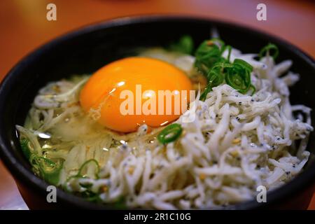 Delizioso Shizuoka Shirasu Donburi fresco (ciotola di riso con sardine per bambini) Foto Stock