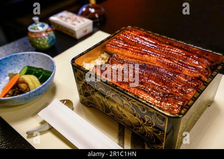 Unaju (deliziosa anguilla alla griglia servita sopra il riso in una scatola laccata) Foto Stock