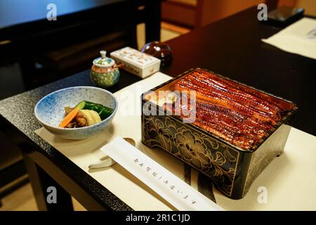 Unaju (deliziosa anguilla alla griglia servita sopra il riso in una scatola laccata) Foto Stock