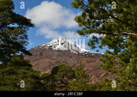 Vista di Sgurr na Lapaich dal lato di Loch Affric nelle Highlands della Scozia Foto Stock