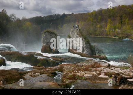 Persone irriconoscibili in cima alla roccia Rheinfall Svizzera Foto Stock