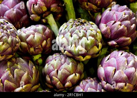 Composizione di carciofi romanici Foto Stock