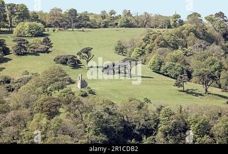 Illustrazione fotografica di un Longshot of Deer Park al Mount Edgcumbe Park sulla penisola di rame nella Cornovaglia sud-orientale Foto Stock