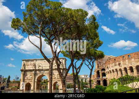 Colosseo, Roma, lazio, Italy Foto Stock