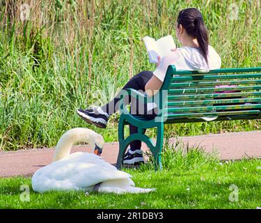 Glasgow, Scozia, Regno Unito 13th maggio 2023. Tempo nel Regno Unito: Soleggiato e caldo nel centro della città ha visto la gente del posto prendere per le strade per godersi la vita cittadina. Knightswood Park e laghetto nel West End Credit Gerard Ferry/Alamy Live News Foto Stock