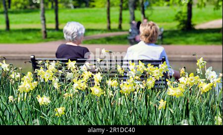 Glasgow, Scozia, Regno Unito 13th maggio 2023. Tempo nel Regno Unito: Soleggiato e caldo nel centro della città ha visto la gente del posto prendere per le strade per godersi la vita cittadina. Knightswood Park e laghetto nel West End Credit Gerard Ferry/Alamy Live News Foto Stock