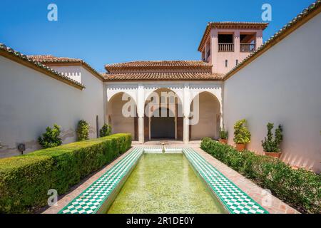 Patio de la Alberca (cortile della piscina) a Nasrid e Palazzo Taifa presso la Fortezza di Alcazaba - Malaga, Andalusia, Spagna Foto Stock