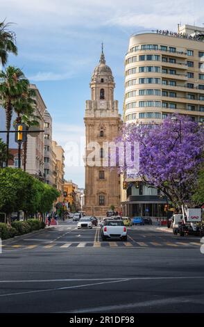 Vista sulla strada con la Cattedrale di Malaga - Malaga, Andalusia, Spagna Foto Stock