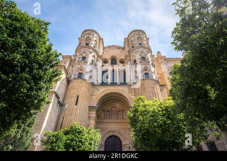 Cattedrale di Malaga facciata est - Malaga, Andalusia, Spagna Foto Stock