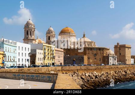 La cattedrale barocca-rococò di Santa Cruz de Cadiz vista da Avenida campo del sur, Cadiz, provincia di Cadice, Costa de la Luz, Andalusia, Spagna. Foto Stock