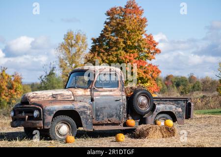 Vecchio camion arrugginito abbandonato in un campo di agricoltori decorato per il ringraziamento e la caduta Foto Stock