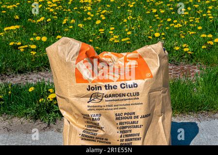 Borsa con rifiuti naturali del giardino da lavori primaverili in giardini e piazze. Ricircolo completo dei prodotti della madre natura. Foto Stock