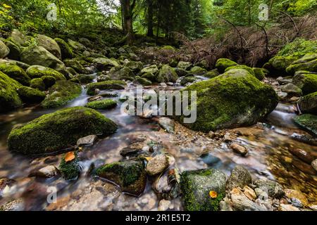 Bella piccola cascata piena di piccole e grandi rocce e pietre con alberi verdi intorno al sentiero di montagna nelle montagne Giganti Foto Stock