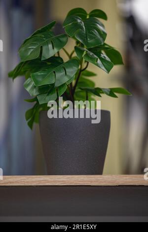 Fiore artificiale verde con molte foglie di plastica in vaso di cemento grigio Foto Stock