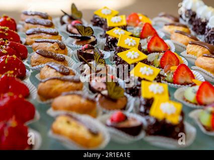 Brussel, Belgio. 13th maggio, 2023. Il dominio reale di Laeken a Brussel, il 13 maggio 2023, per partecipare ad un Garden Party con 600 belgi provenienti da tutto il paese, in occasione del decimo anniversario di King Filip di Kingship Credit: Albert Nieboer/Netherlands OUT/Point de Vue OUT/dpa/Alamy Live News Foto Stock