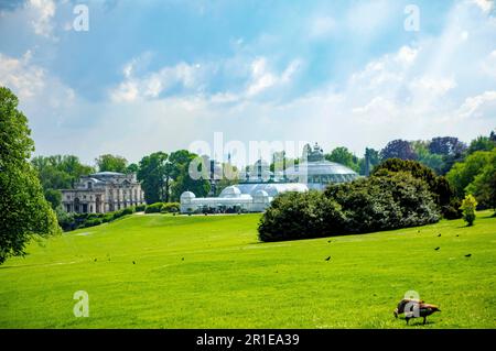 Brussel, Belgio. 13th maggio, 2023. Il dominio reale di Laeken a Brussel, il 13 maggio 2023, per partecipare ad un Garden Party con 600 belgi provenienti da tutto il paese, in occasione del decimo anniversario di King Filip di Kingship Credit: Albert Nieboer/Netherlands OUT/Point de Vue OUT/dpa/Alamy Live News Foto Stock