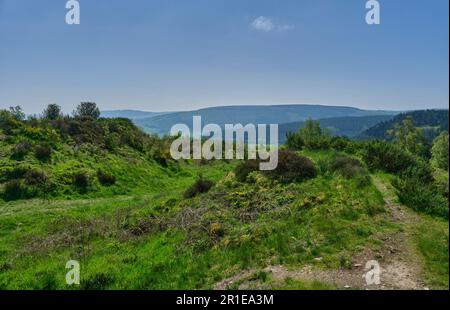 Steppleknoll, Radnor Wood e Sowdley Wood, provenienti da Bury Dottches, Clunton, vicino a Clun, Shropshire Foto Stock